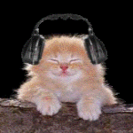 ChatonMusique.gif image by ka-ti06