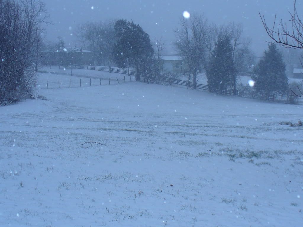 P1000557.jpg