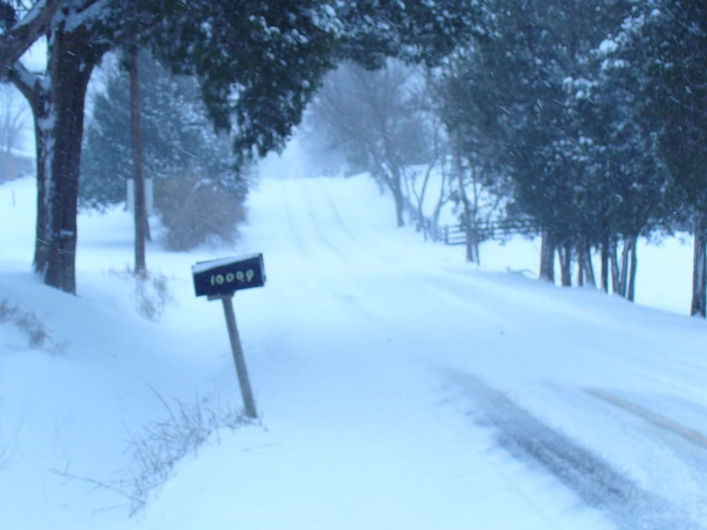 P1000564.jpg