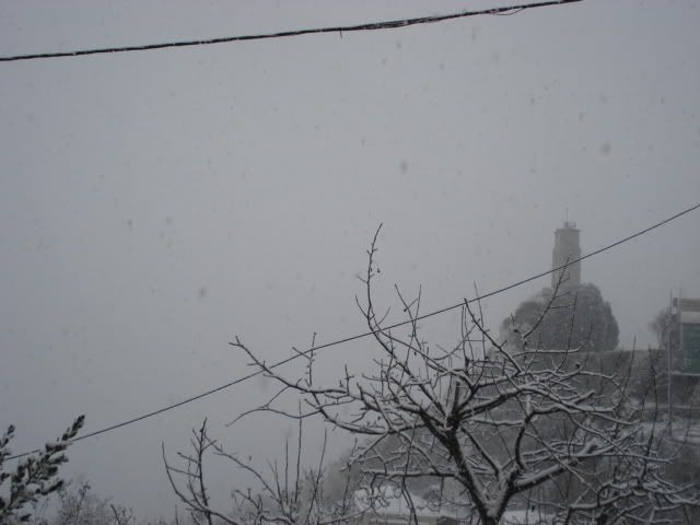 DSC00076.jpg