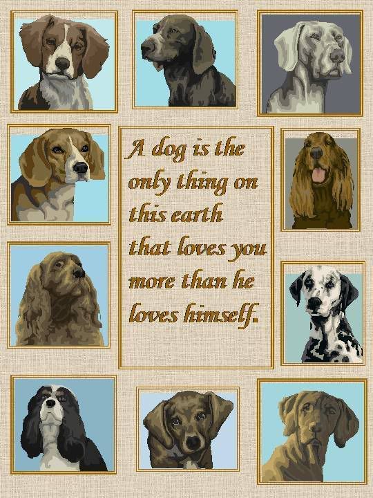 dog poems image