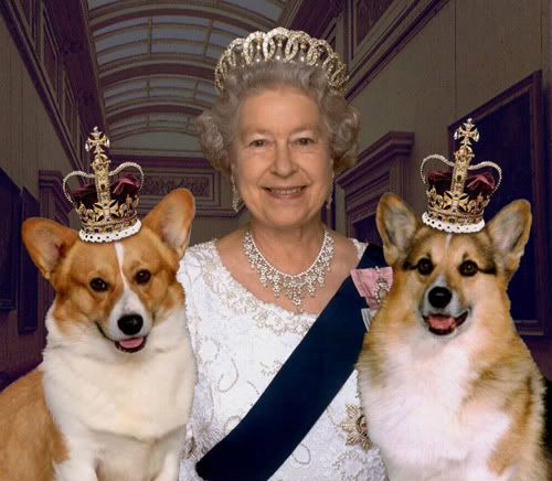 queen-two-dogs-crowns.jpg