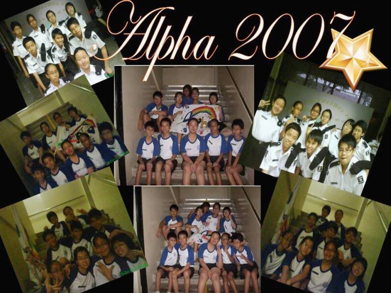 alpha 2008