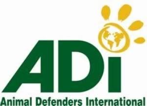 animal-defenders-international-seek.jpg picture by apdaperu