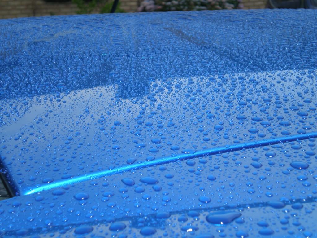 Sonus SFX4 sealant beading Detailing World Forum