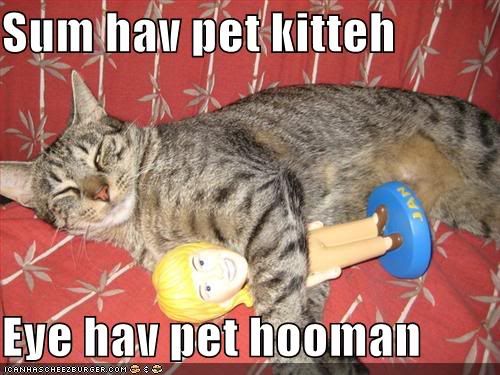 pet humor