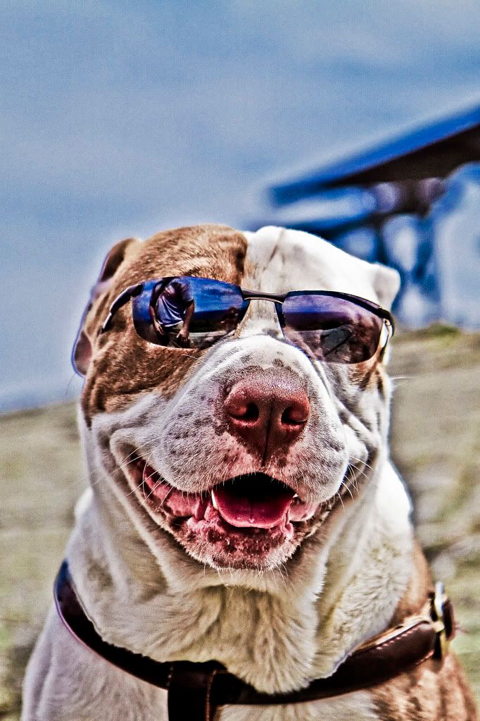 IMAGE: http://i252.photobucket.com/albums/hh2/Coppatop85/Mt%20Kearsarge/MtKearsarge4b.jpg