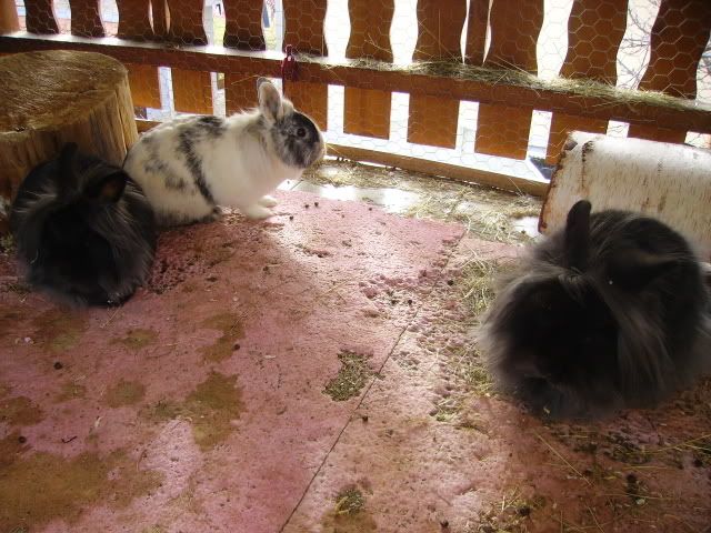 PICT0625.jpg
