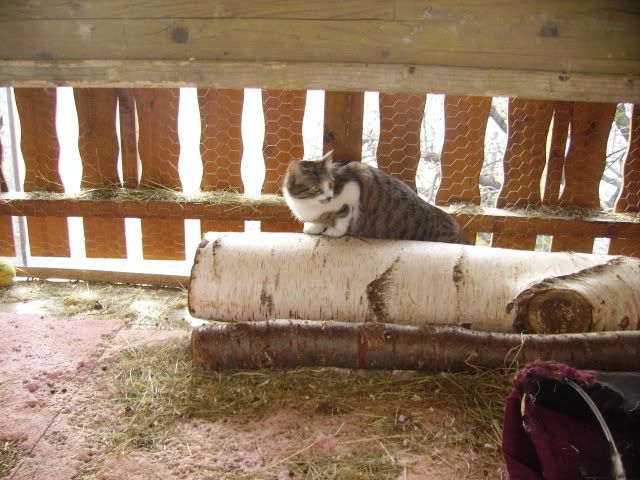 PICT0627.jpg