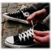Converse Pictures, Images and Photos