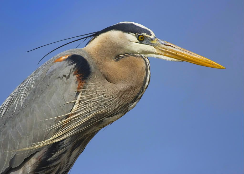 IMAGE: http://i252.photobucket.com/albums/hh21/shar82448/20080403-IMG_6240potn2-1.jpg