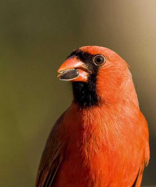 IMAGE: http://i252.photobucket.com/albums/hh21/shar82448/IMG_22672.jpg