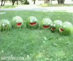watermelon001uu8-1.gif
