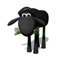black_sheep_eating_grass_sm_nwm.gif