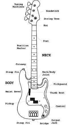 Bass Guitar Diagram / p-bass wiring diagram - Google-haku | Wire, Bass