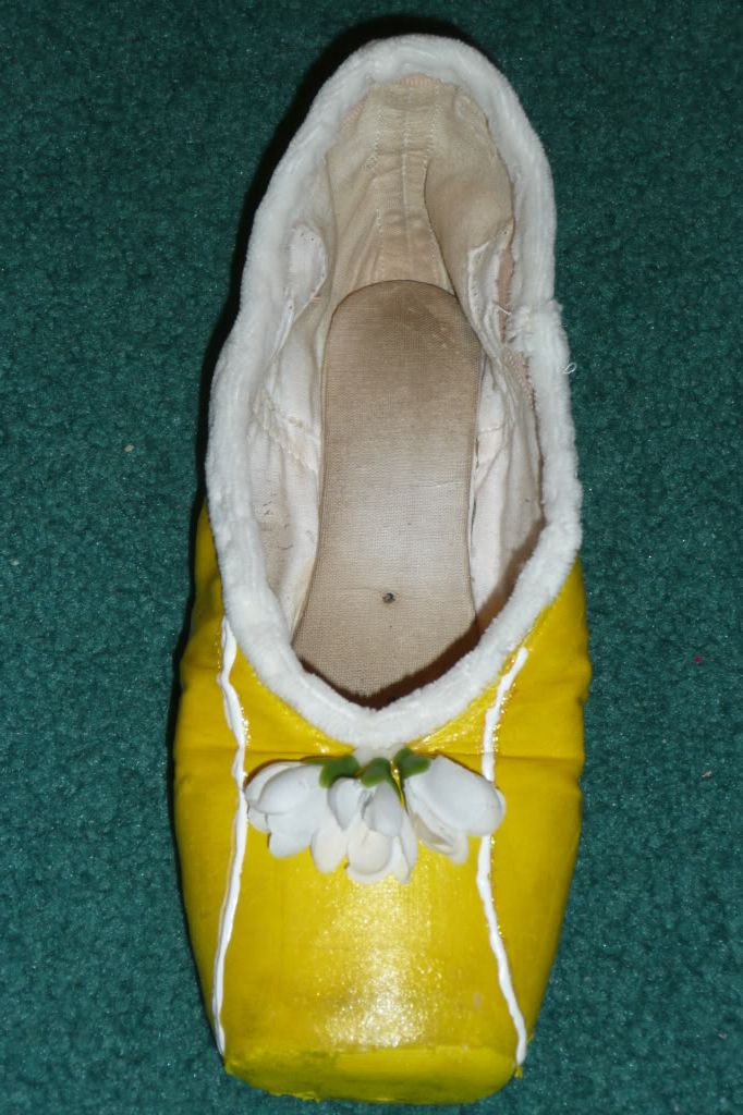 Dance Net I Ve Been Decorating Pointe Shoes 7796695 Read