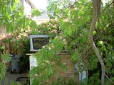 SilkTree005.jpg My Camper shell is under there. image by jonala