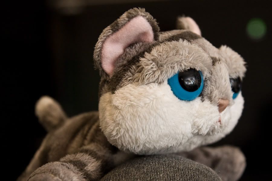 IMAGE: http://i252.photobucket.com/albums/hh26/Daniel2000/IMG_7802.jpg