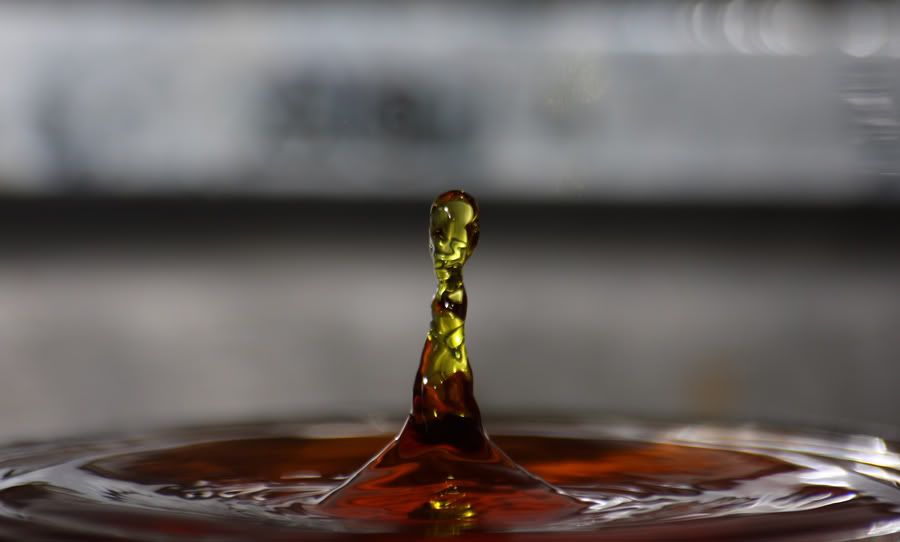 IMAGE: http://i252.photobucket.com/albums/hh26/Daniel2000/IMG_9227.jpg