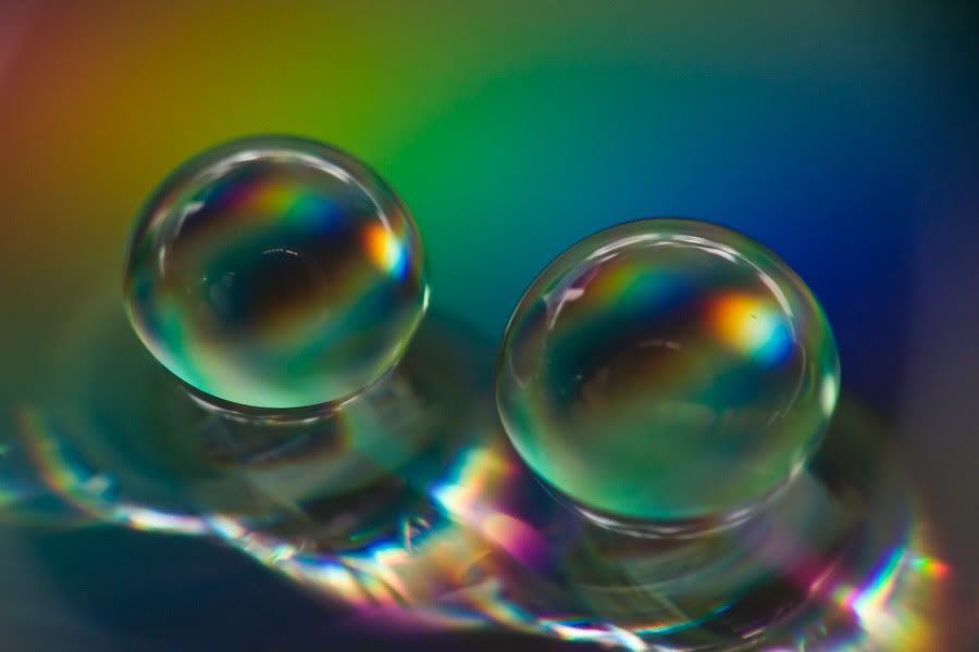 IMAGE: http://i252.photobucket.com/albums/hh26/Daniel2000/macros/IMG_6160.jpg