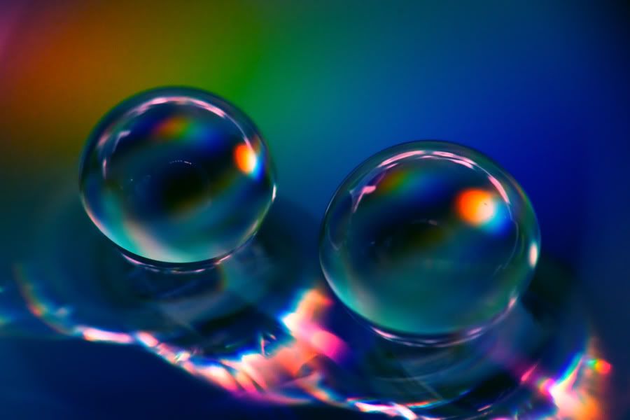 IMAGE: http://i252.photobucket.com/albums/hh26/Daniel2000/macros/IMG_6160enbleu.jpg