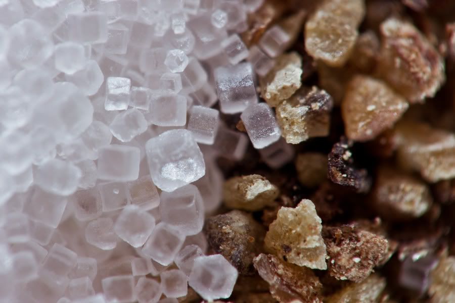 IMAGE: http://i252.photobucket.com/albums/hh26/Daniel2000/macros/IMG_7005.jpg