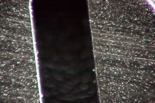 IMAGE: http://i252.photobucket.com/albums/hh26/Daniel2000/macros/IMG_9904.jpg