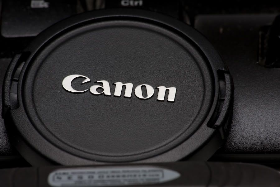 IMAGE: http://i252.photobucket.com/albums/hh26/Daniel2000/macros/IMG_9909.jpg