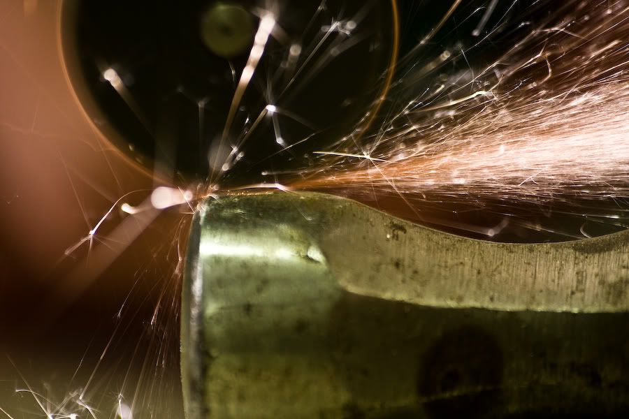 IMAGE: http://i252.photobucket.com/albums/hh26/Daniel2000/macros/IMG_9942.jpg