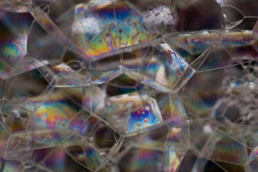 IMAGE: http://i252.photobucket.com/albums/hh26/Daniel2000/macros/IMG_9975.jpg