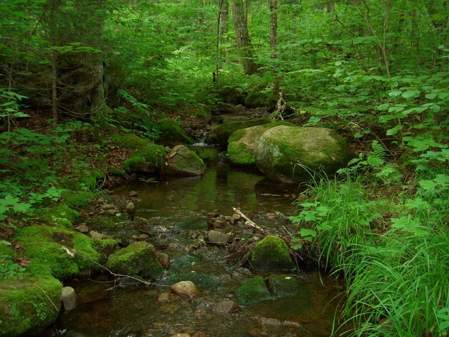 IMAGE: http://i252.photobucket.com/albums/hh26/Daniel2000/paysage/CIMG2341-1.jpg