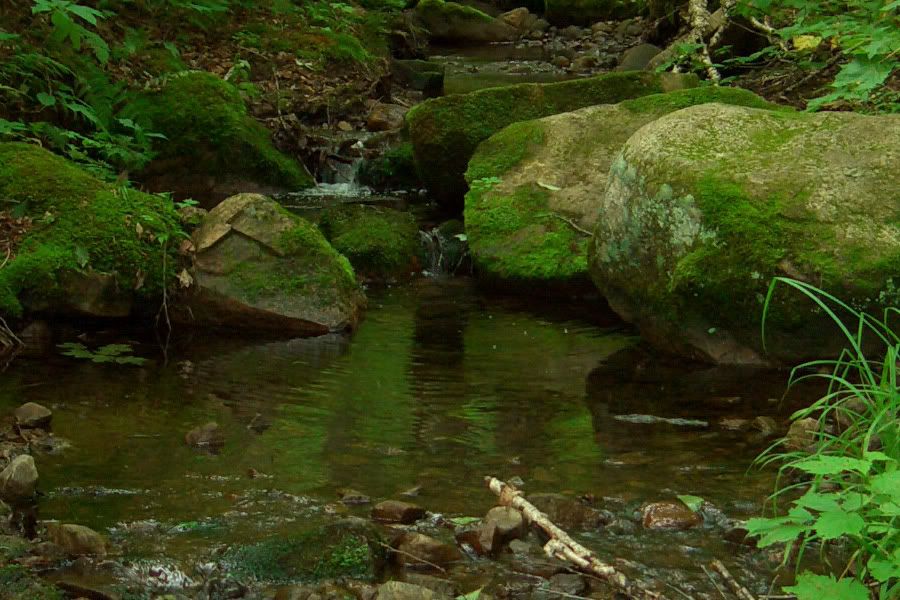 IMAGE: http://i252.photobucket.com/albums/hh26/Daniel2000/paysage/CIMG2341crop100.jpg