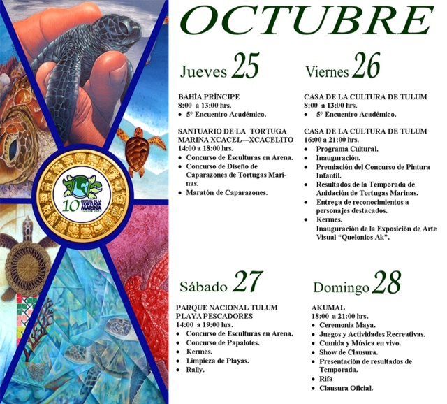 Tulum Turtle Festival