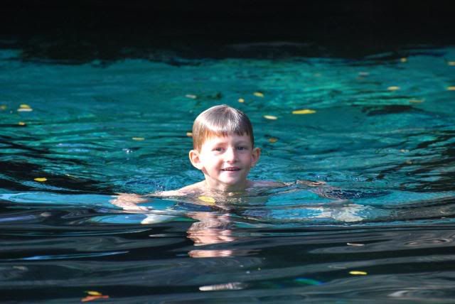 Cenote Azul Puerto Aventuras Cenote Azul Puerto Aventuras