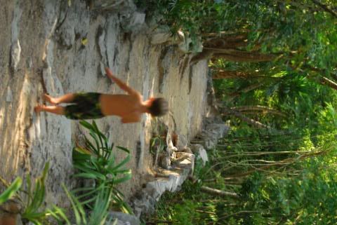 Cenote Azul Puerto Aventuras Cenote Azul Puerto Aventuras