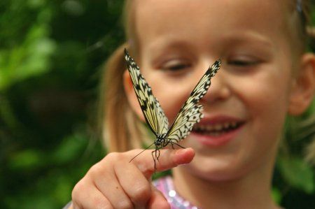 Waldorf Education in Mexico