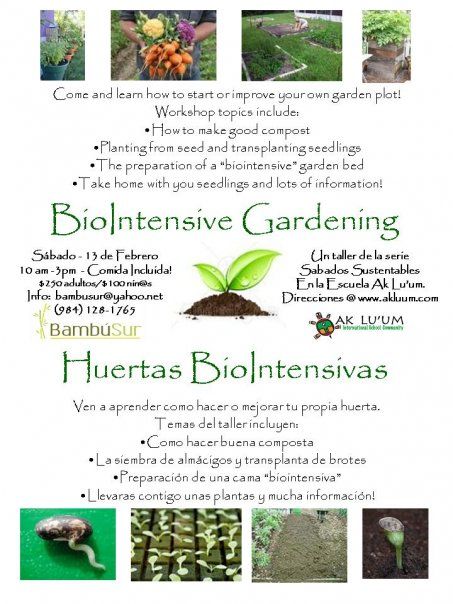 Organic Gardening Mexico
