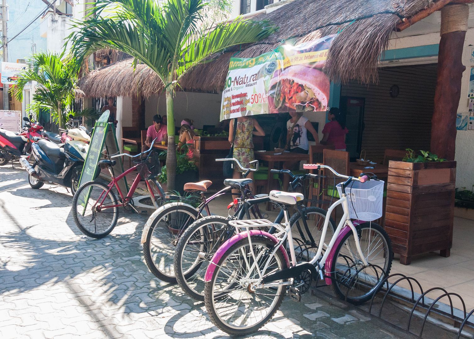 Bio Natural Restaurant Playa del Carmen