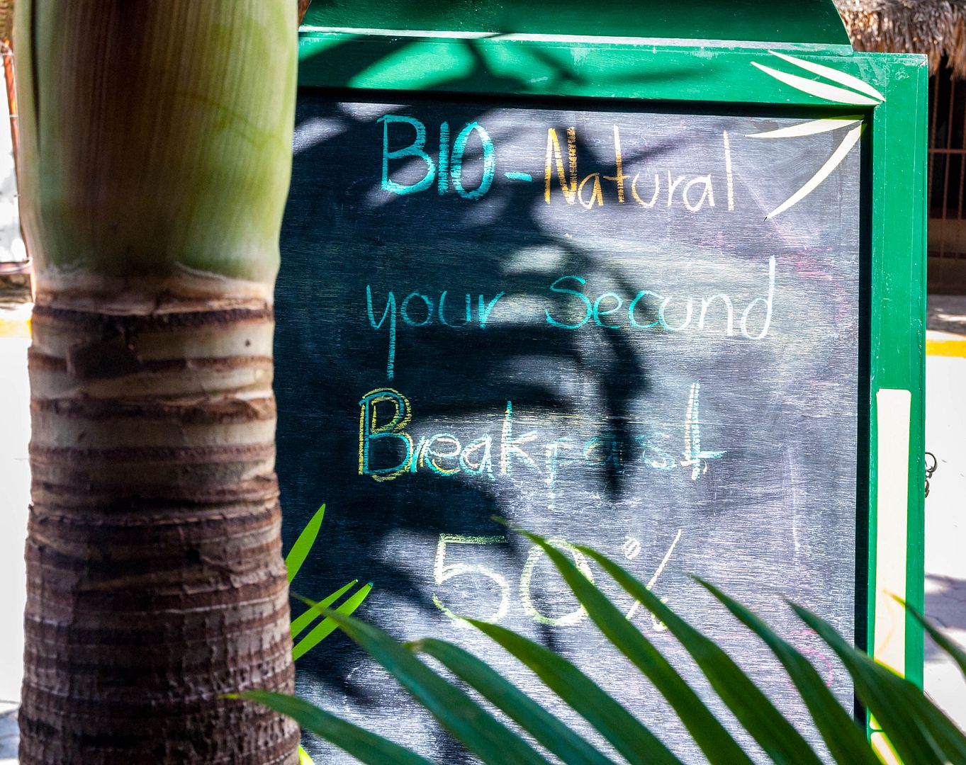 Bio Natural Restaurant Playa del Carmen