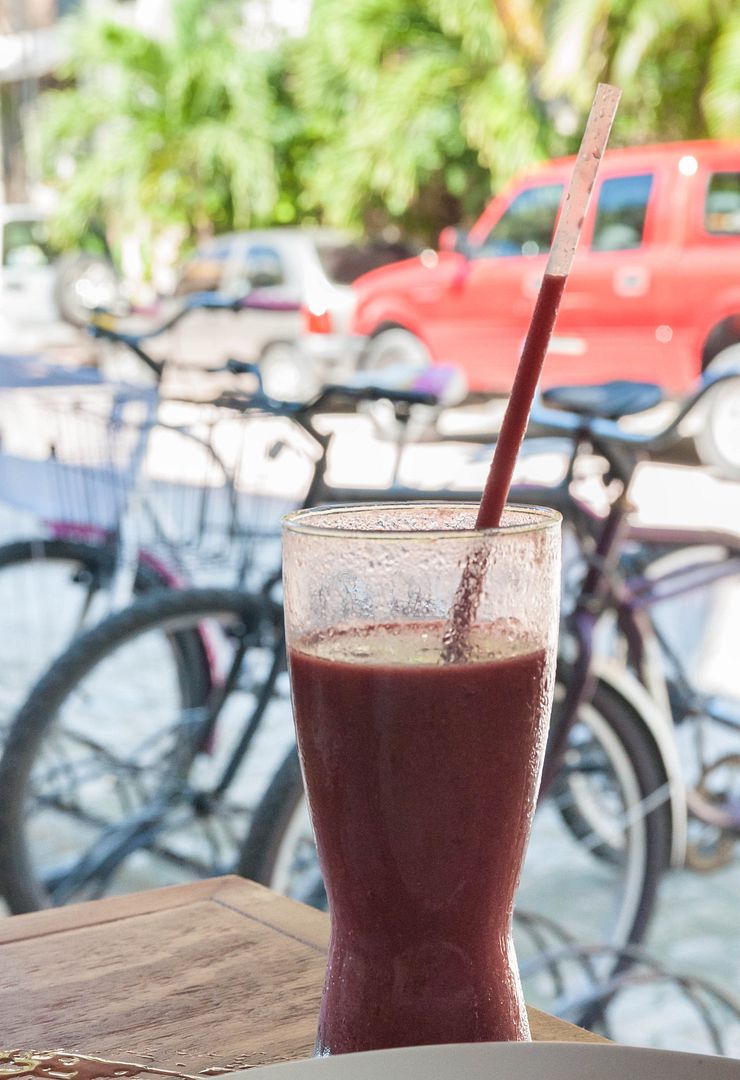 Smoothies- Bio Natural Playa del Carmen