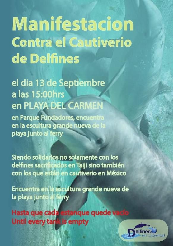 Dolphin protest Playa del Carmen