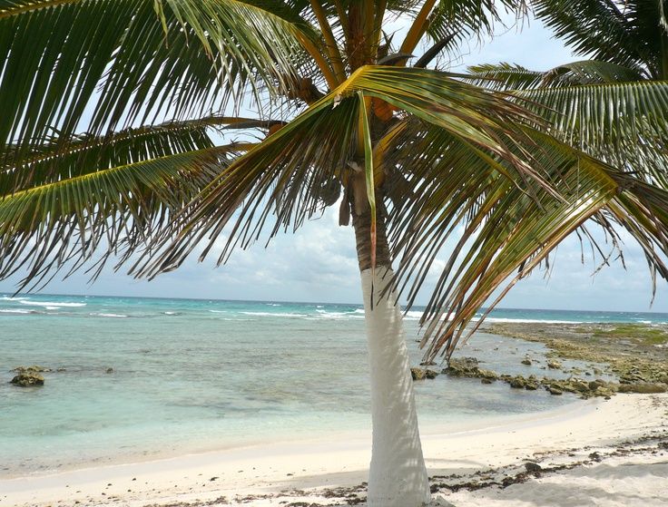 Paamul beach Riviera Maya