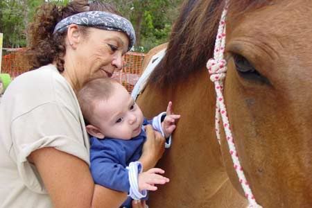 Playa del Carmen Equine Therapy Center