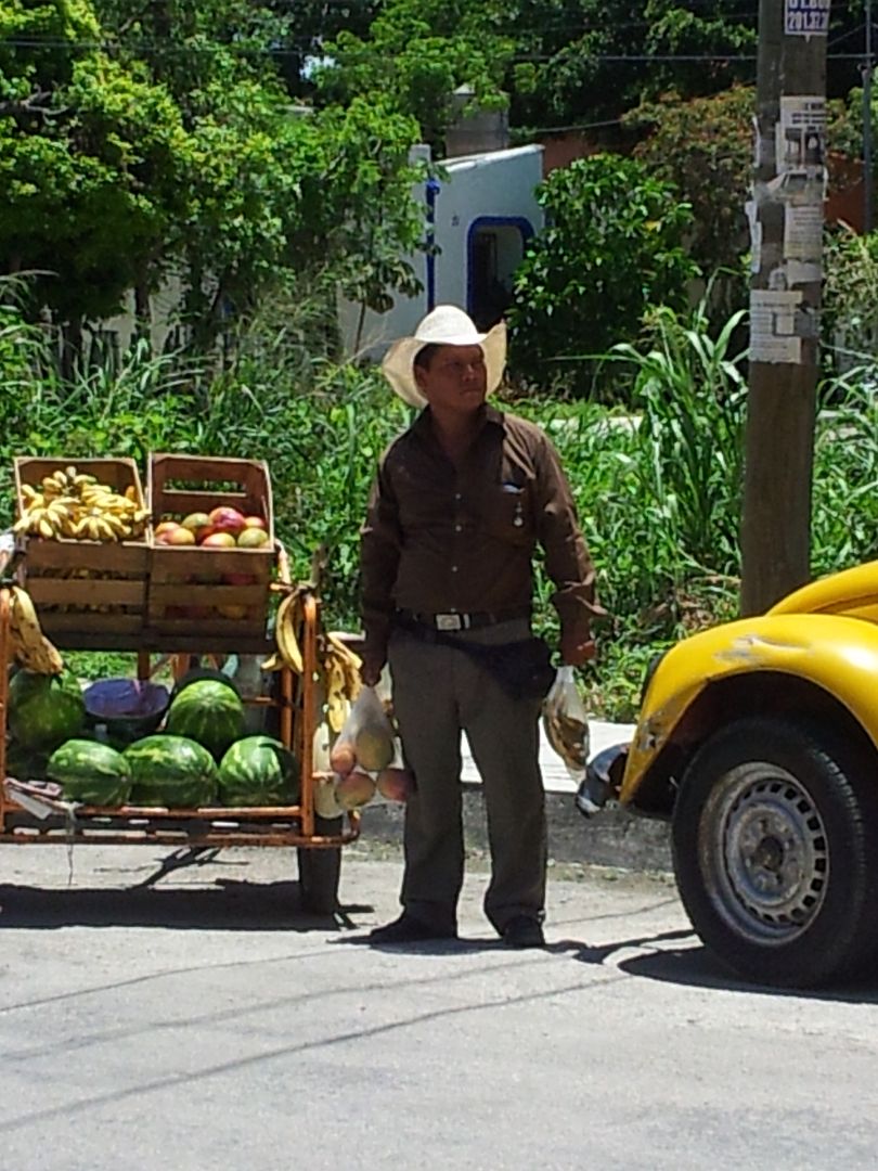 Fruit Sales at your door