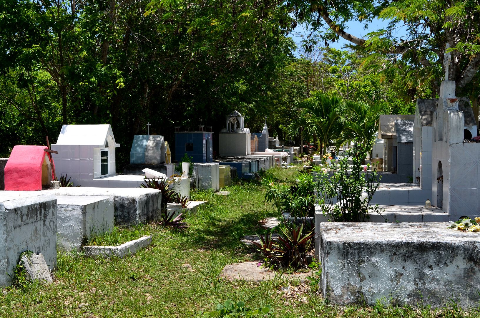 Jungle Cemetery