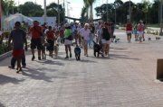 DogWalk2