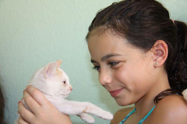 Kitten Cuddling Coco's Cat Rescue