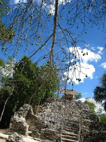 Coba Ruins Travel in Mexico