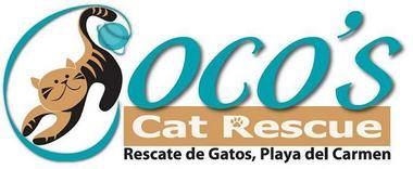 Cocos cat Rescue Fundraiser