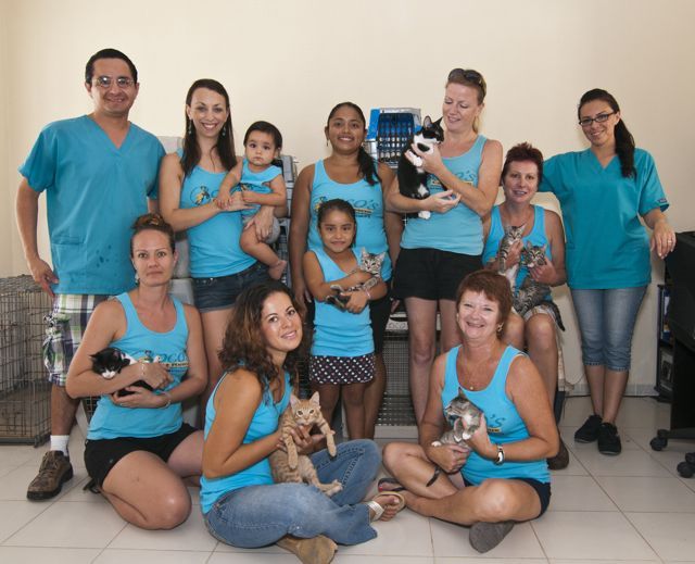 Coco's Cat Rescue Team Coco's Cat Rescue Team